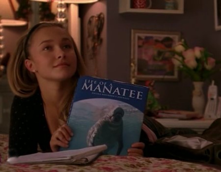 File:Oh the huge manatee.jpg