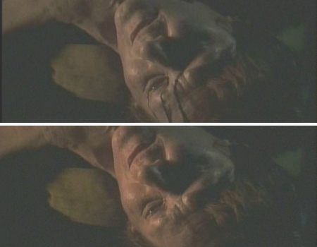 File:Nidia cured.jpg