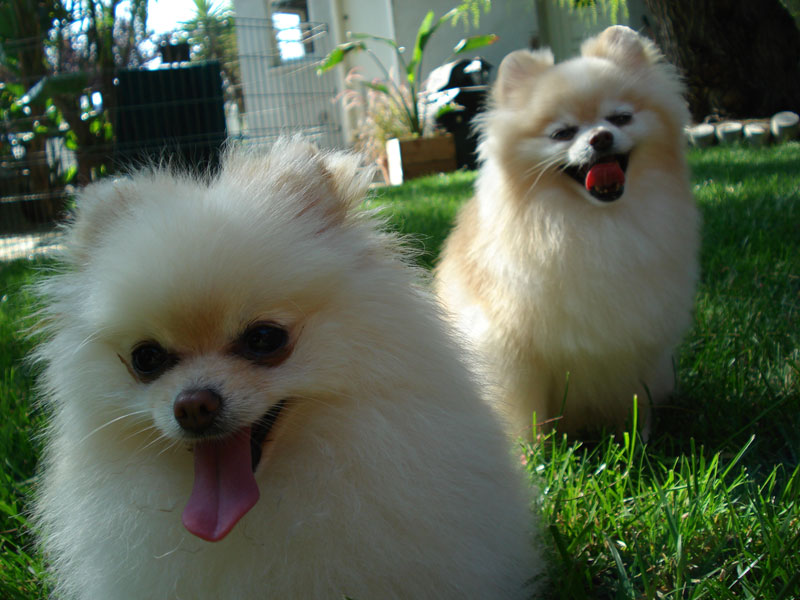 File:Akasha and Lestat outside.jpg