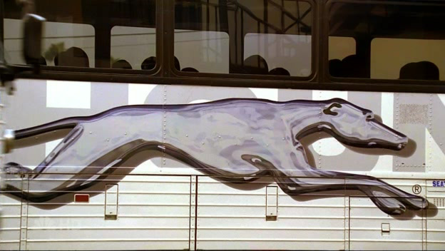 File:Greyhound huge.jpg