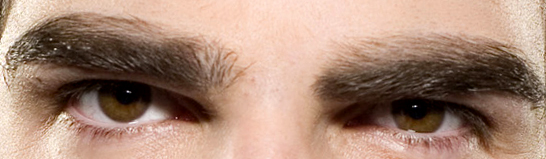 File:Sybrows.jpg
