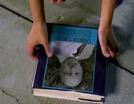 File:AE in driveway.jpg