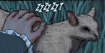 File:Tiger Franklin.jpg