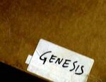The Genesis files