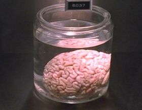 Image de la référence