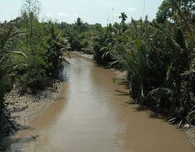 Image illustrative de l'article Vietnam