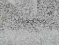 Thumbnail for version as of 16:00, 3 May 2020