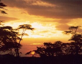 Image illustrative de l'article Tanzanie