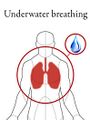 Underwater Breathing; The ability to breath underwater without need for air.