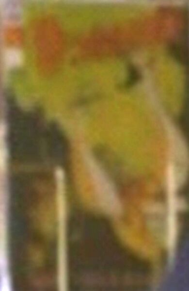 File:Japanese 9th Wonders -9.jpg