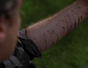 Heroes Wiki:Portail des épisodes