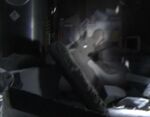 Teleportation