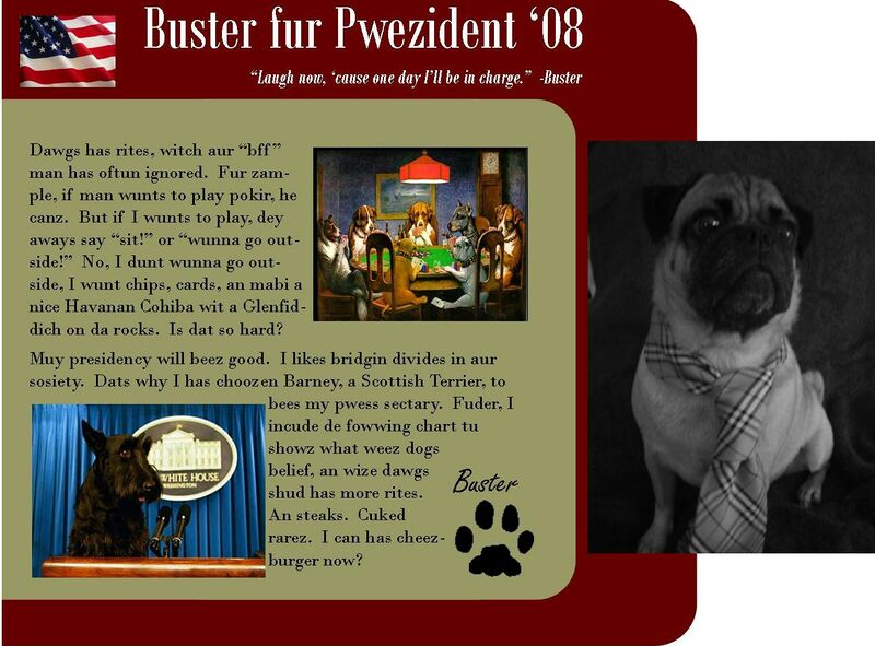 File:Buster fur President.jpg