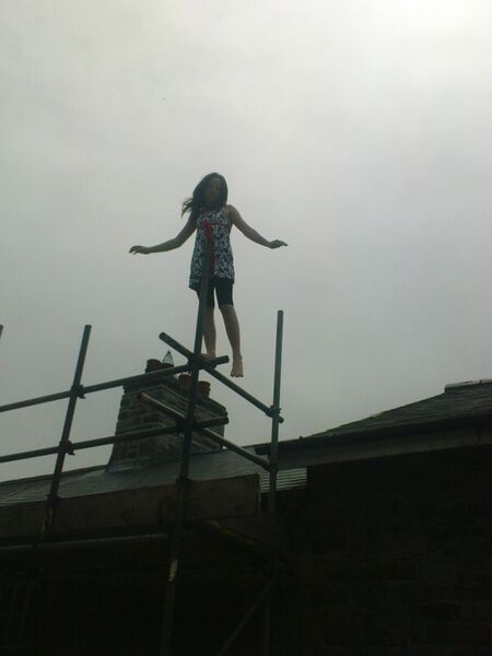 File:Rose on scaffolding.JPG