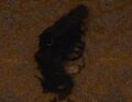 Thumbnail for version as of 16:40, 3 May 2020