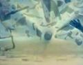 Thumbnail for version as of 15:24, 3 May 2020