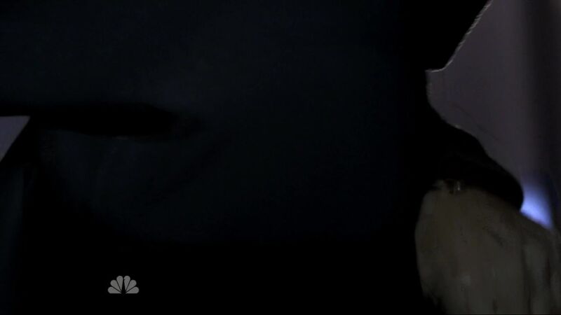 File:Hooded tracy 6.jpg