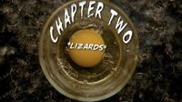 Episode:Lizards