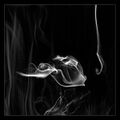Smoke Mimicry; the ability to turn one's body to smoke.
