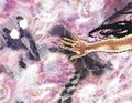 Thumbnail for version as of 15:49, 3 May 2020