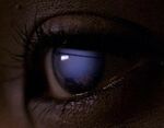 Photographic reflexes